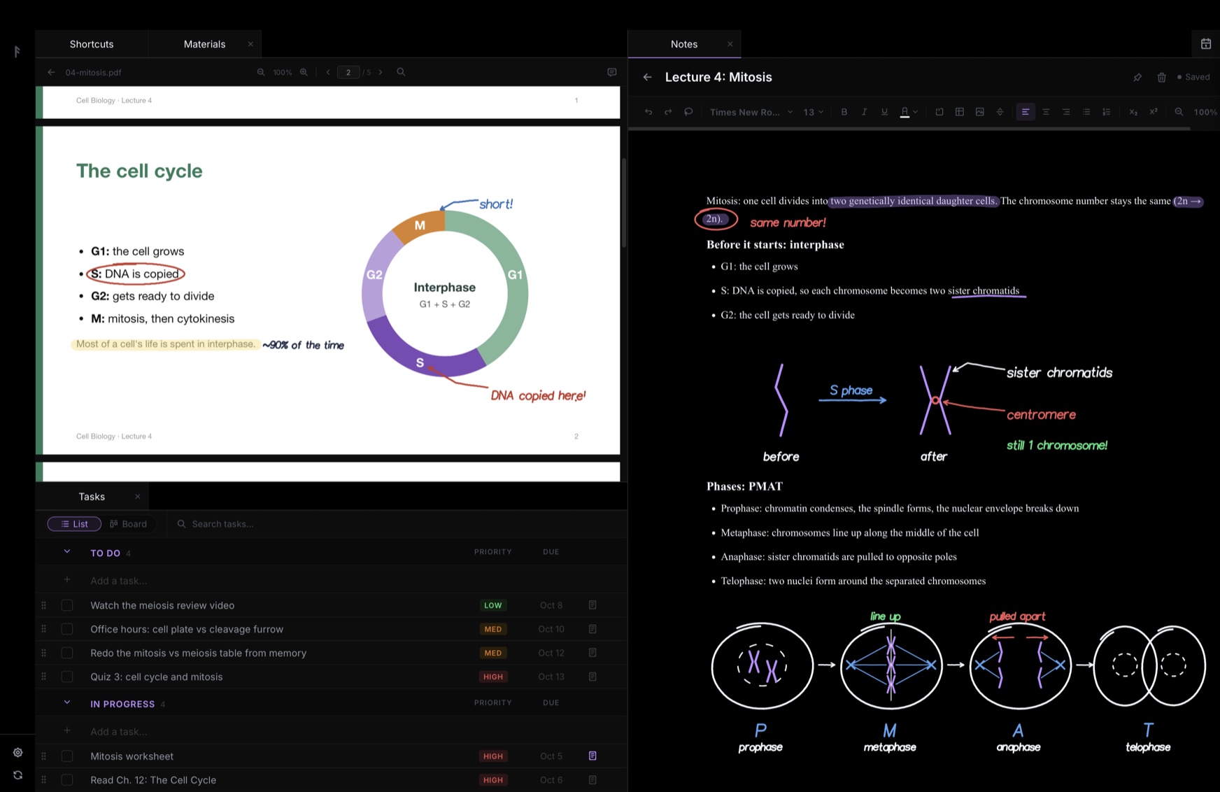 Brunnr on the Mac: lecture slides with handwritten notes, a Tasks list, and a mitosis note mixing typed text with drawings